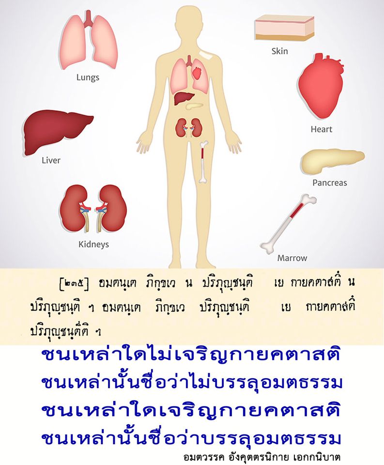 5SclQLD03tGU1FgiKx-8NkS82qMICI-NB_1m-eyRChgw&_nc_ohc=eOjYPXwoCEAAX84vfTX&_nc_ht=scontent.fcnx3-1.jpg